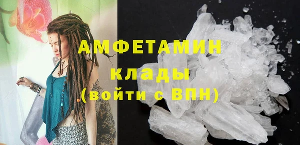 стафф Аркадак